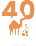 Camel Dive Club & Hotel