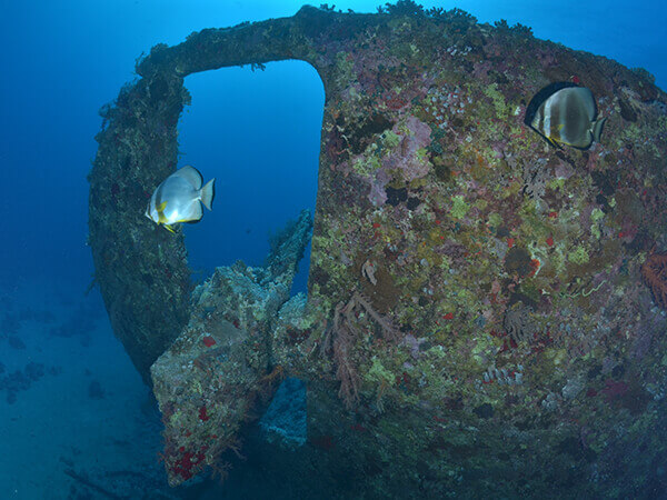 SS Dunraven