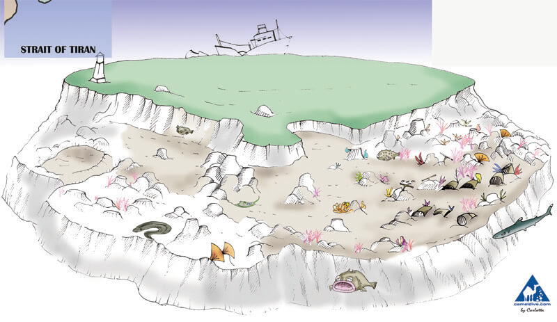 Gordon Reef Dive Site Map - Tiran