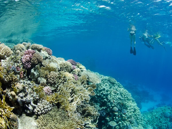 Gordon Reef