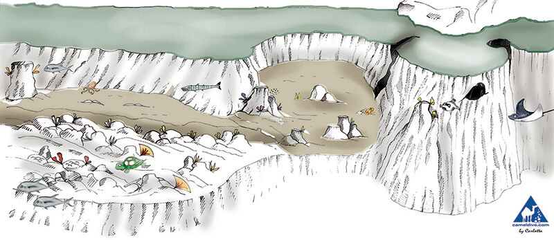Jackfish Alley Jackson reef Dive Site Map - Ras Mohammed