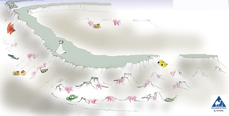 Laguna Reef Dive Site Map - Tiran