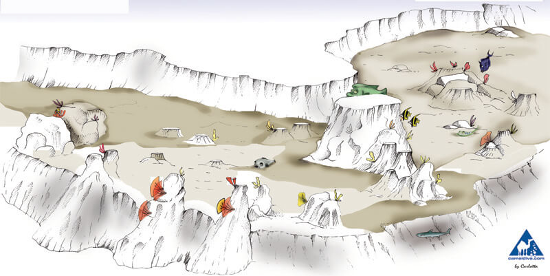 Near Garden Dive Site Map - Sharm El Sheikh
