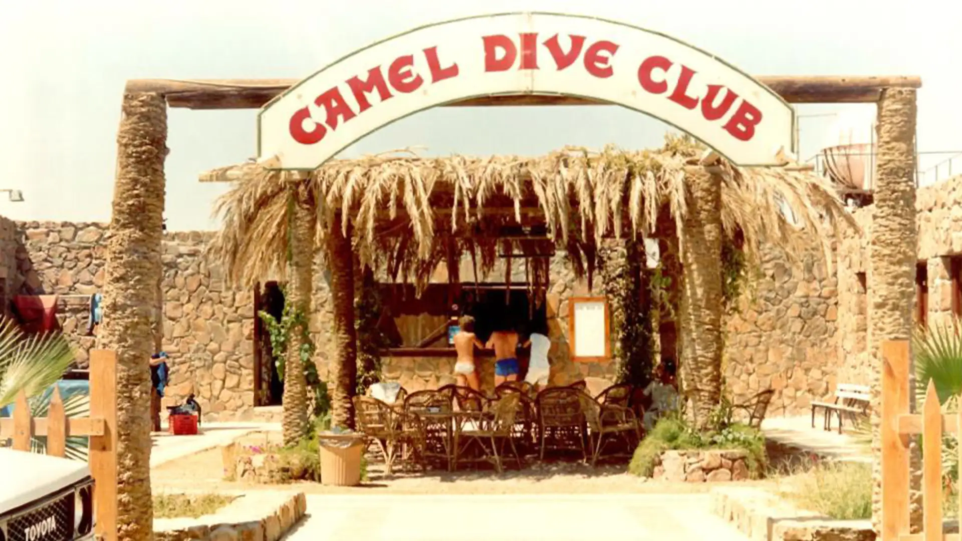 camel dive club 1986