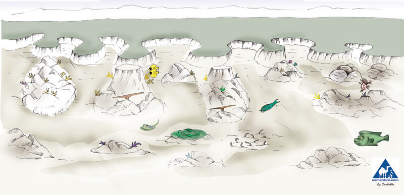 Ras Bob dive site map - Sharm El Sheikh