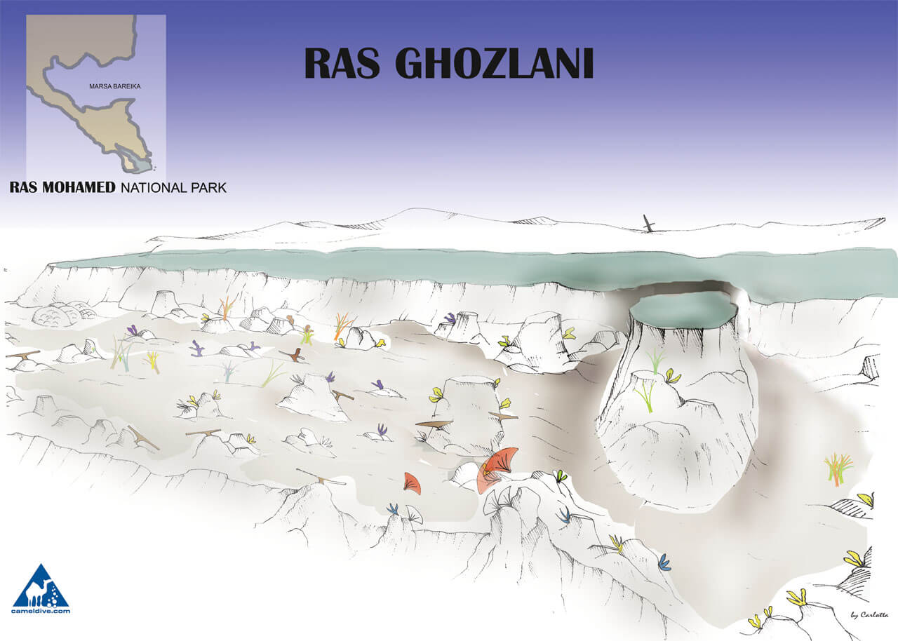 Ras Ghozlani Dive Site Map - Ras Mohammed