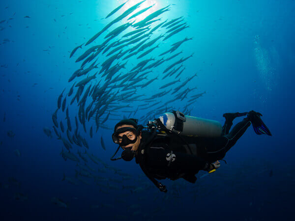 Shark and Yolanda photos - female diver smiling at the camera with Schooling Barracuda in the blue water behind her