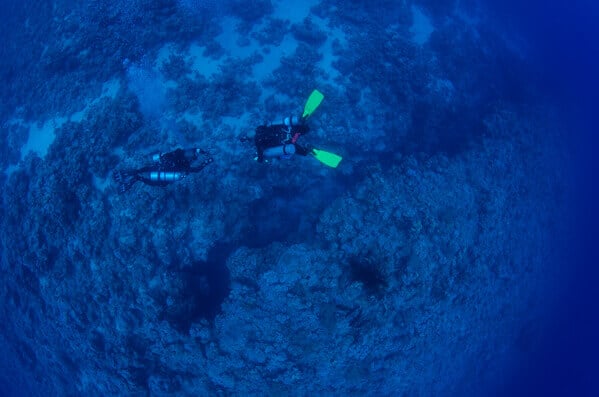 Thomas reef Red Sea