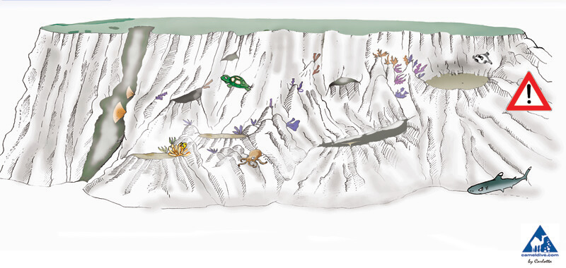 Woodhouse reef Dive Site Map - Tiran
