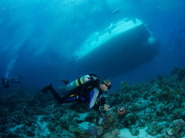 Gordon reef