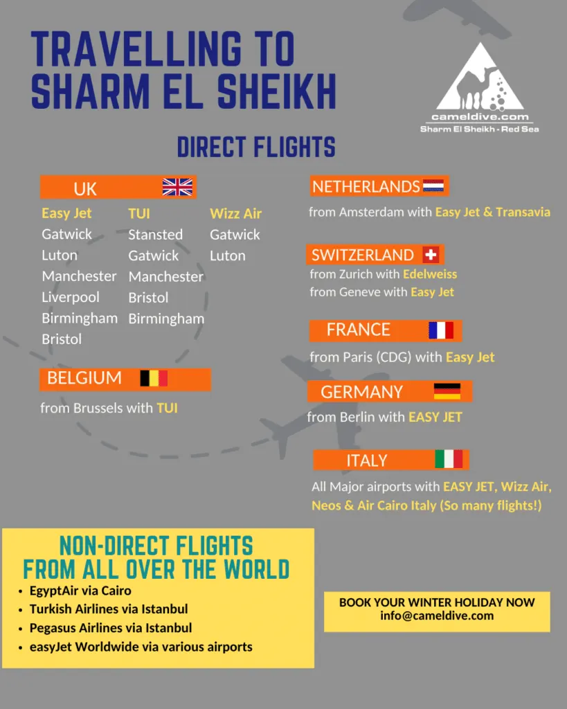 Available Flights from Europe 2025 